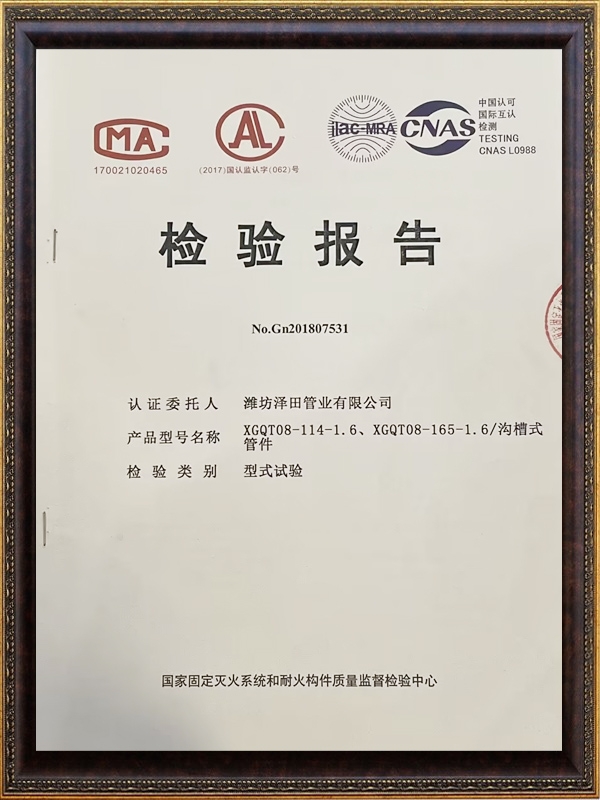 檢驗(yàn)報(bào)告